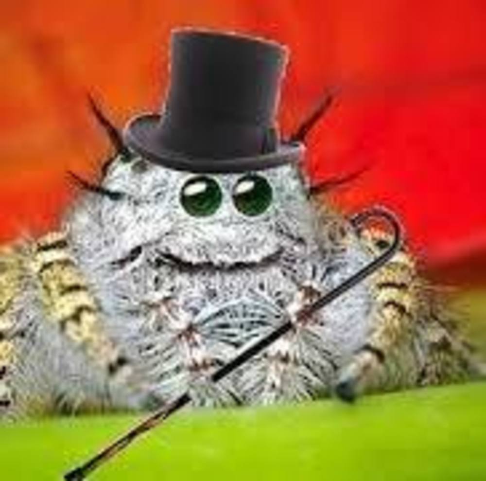 Meet your Posher, Kaye